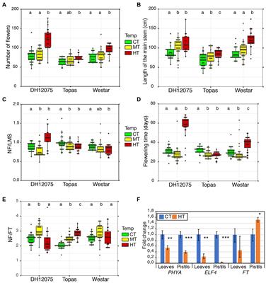 Long-Term High-Temperature Stress Impacts on Embryo and Seed Development in Brassica napus